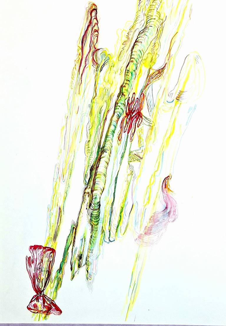 Kleurrijke plantvormen